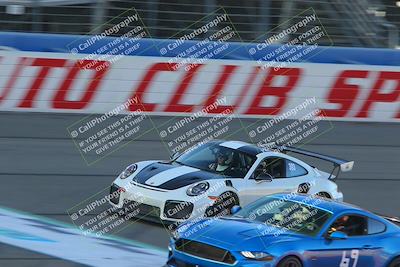 media/Nov-05-2022-Speed Ventures (Sat) [[014f48cf2c]]/Orange Group/Finish Line/